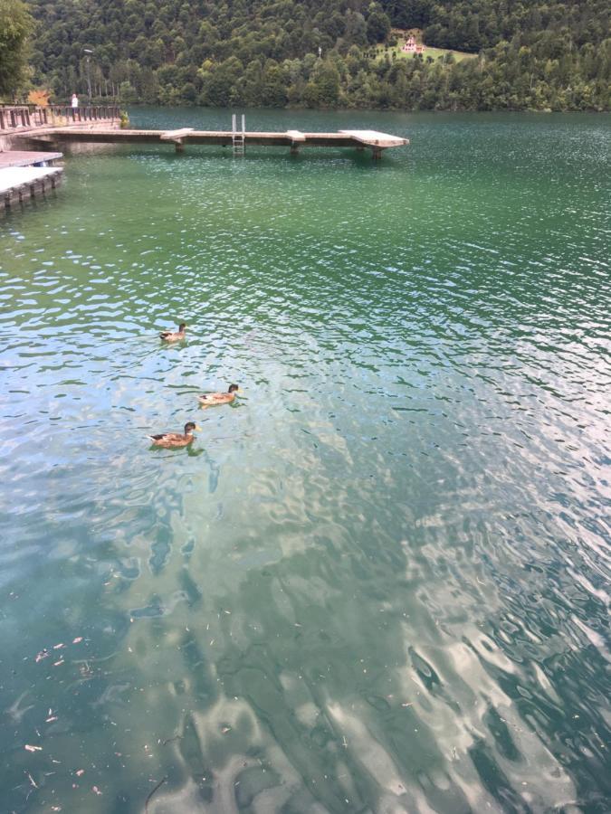 Casa A Schiera Fronte Lago Con Giardino Barcis Exterior foto